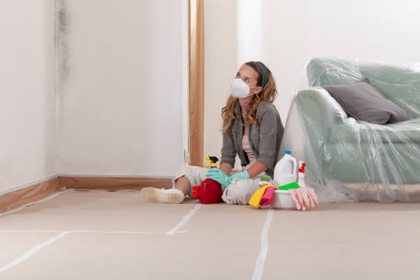 Reliable Basement Mold Remediation contractor in Belle Haven, VA by WQB Mold Removal